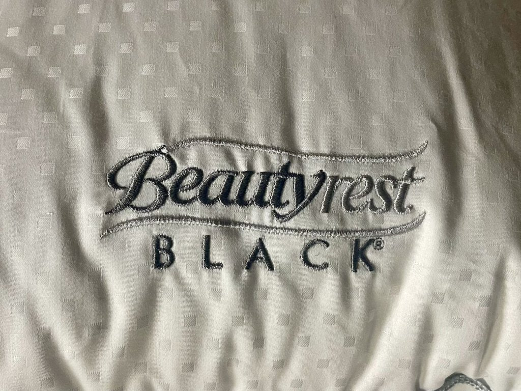 Beautyrest Black Poly fill Bedroom Pillow