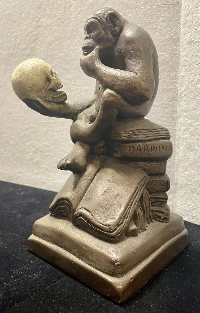 Austin Productions 1962 Darwin Monkey Holding Skull