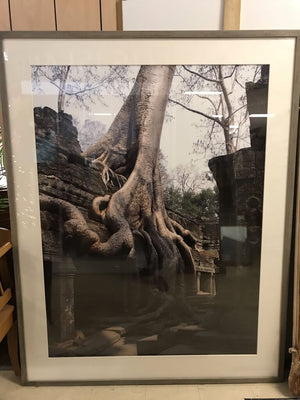 Tree Roots Growing Over Ta Prohm Temple Photo Print 60x76