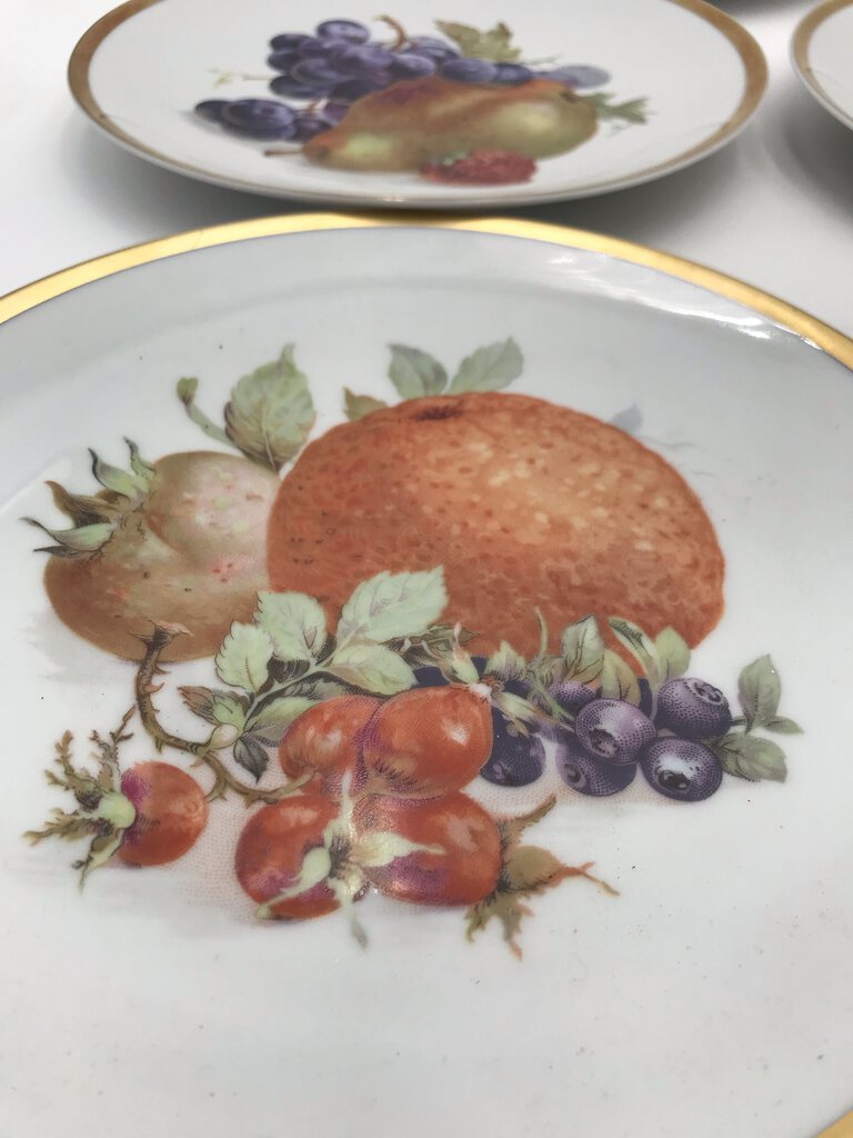 Bavarian Golden Crown Orchard Fruit Plate Set (8)