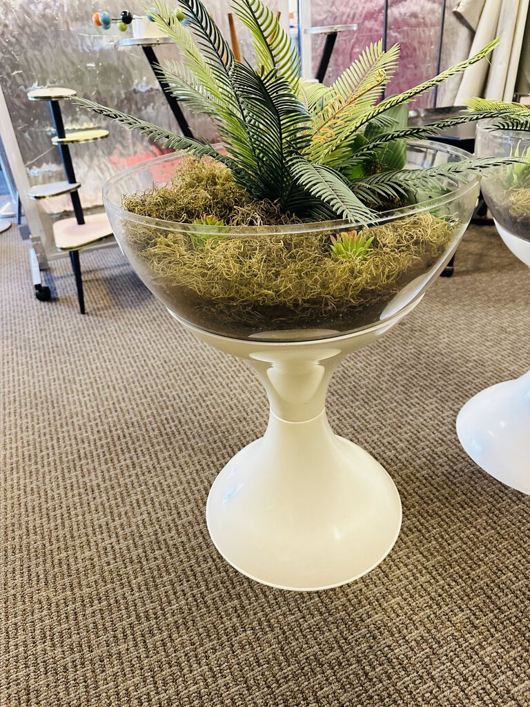 White Base Terrariums