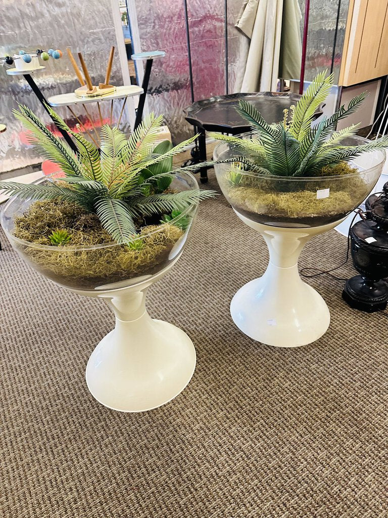 White Base Terrariums