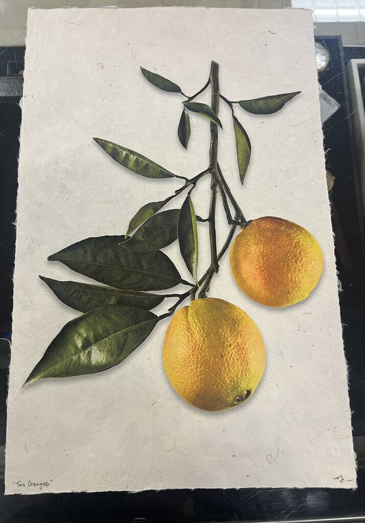 Hudson Grace Signed Citrus Prints Handmade Paper (3)