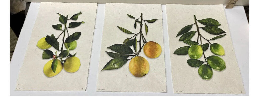 Hudson Grace Signed Citrus Prints Handmade Paper (3)