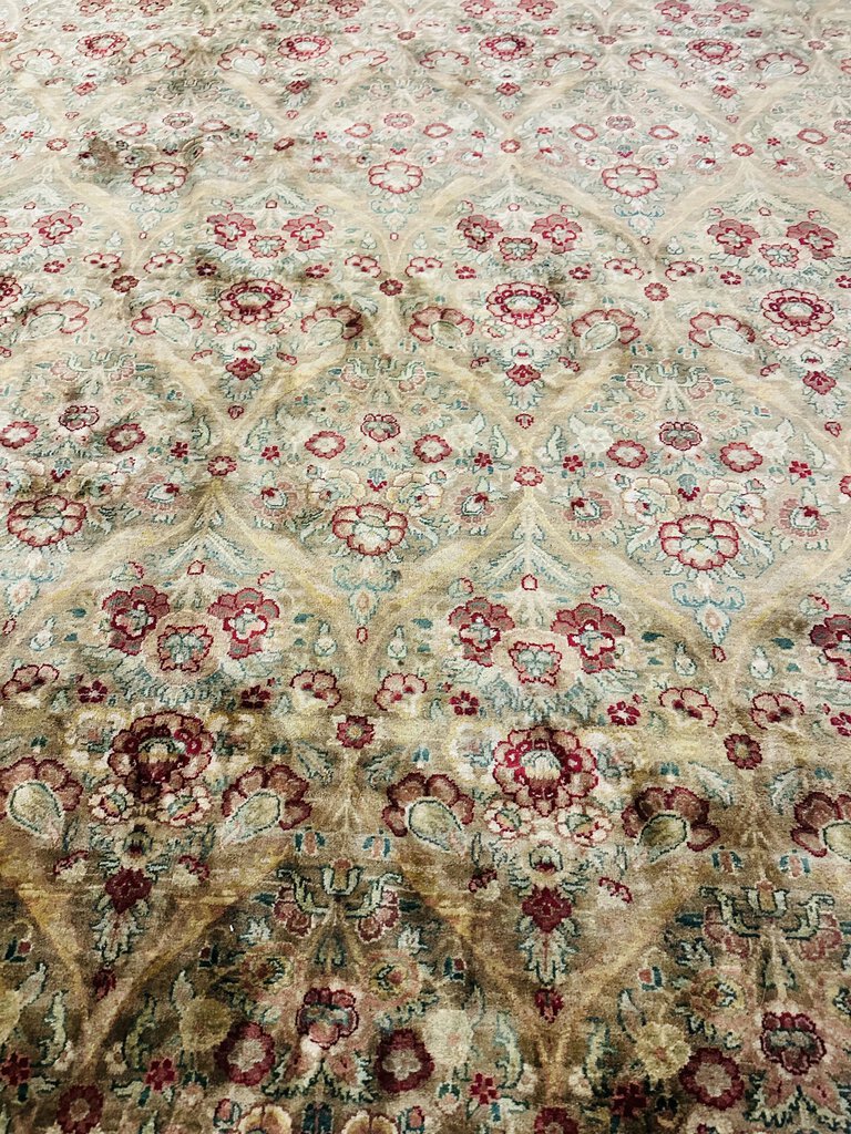 Indo Kerman Rajhastan Rug 290x 165