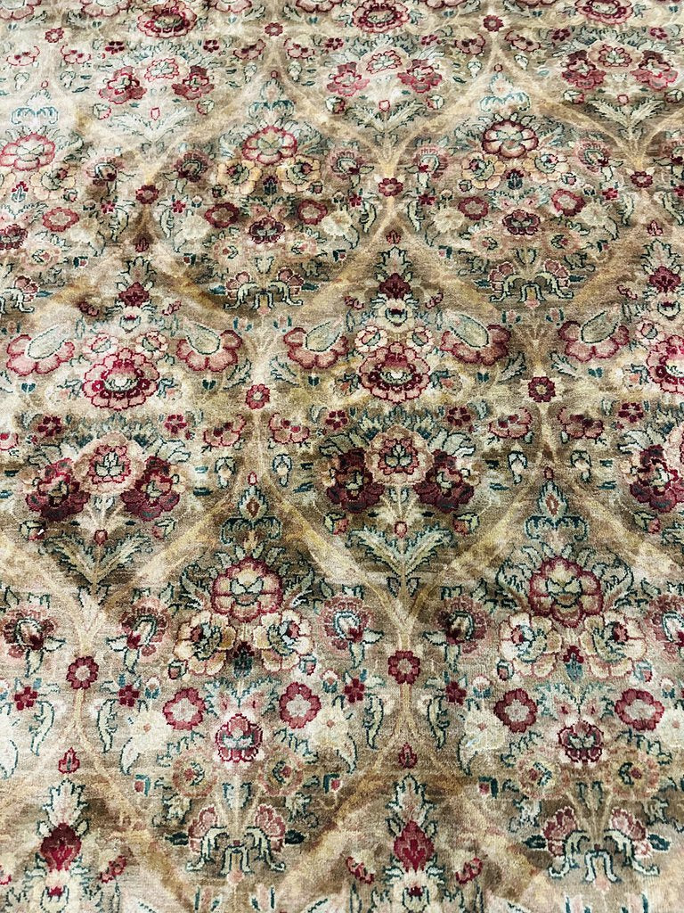 Indo Kerman Rajhastan Rug 290x 165