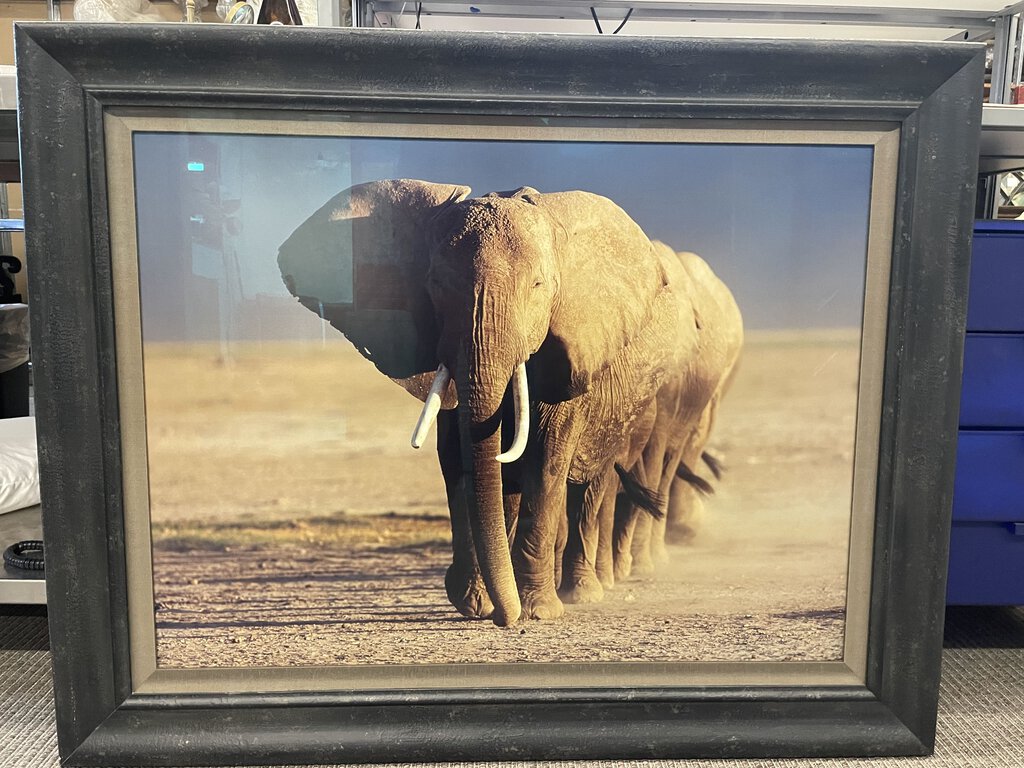 Thomas Mangelsen "Amboseli Crossing" Signed Numbered Edition 59/95 1991