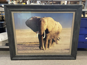 Thomas Mangelsen "Amboseli Crossing" Signed Numbered Edition 59/95 1991