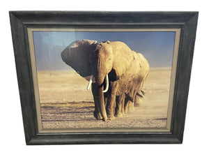 Thomas Mangelsen "Amboseli Crossing" Signed Numbered Edition 59/95 1991