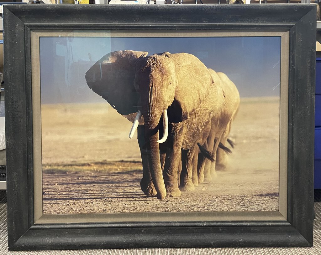 Thomas Mangelsen "Amboseli Crossing" Signed Numbered Edition 59/95 1991