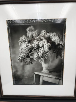 Z Gallerie Black/White Lilac Still Life Photo 22x24