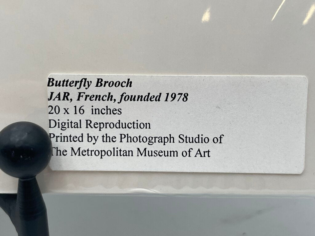 M.O.M.A. Jeweled Brooch Photo Prints 1-Butterfly & 1-Pansy