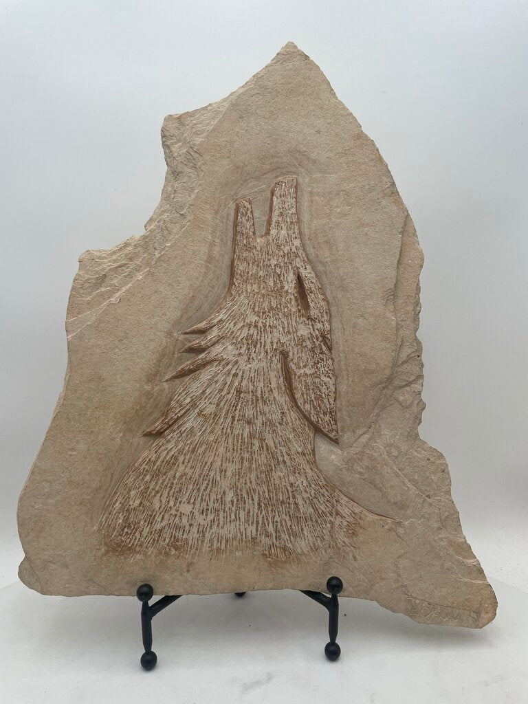 Carved Sand Stone Coyote Relief by Joaquin