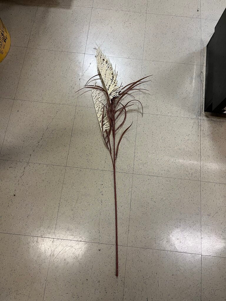 Faux Pampas Grass White & Beige $10 Each