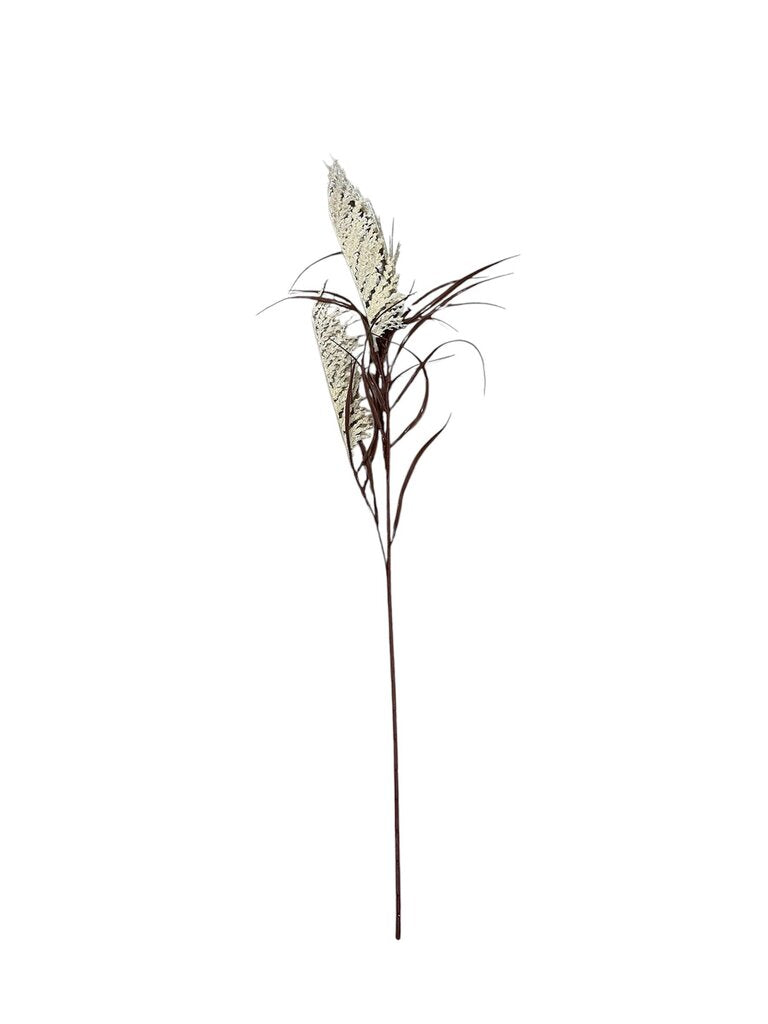 Faux Pampas Grass White & Beige $10 Each