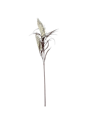 Faux Pampas Grass White & Beige $10 Each