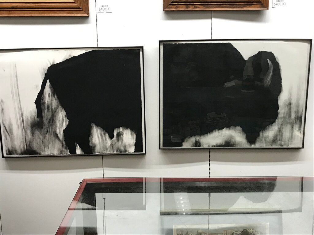 Joseph Knowles Bison Study In Charcoal Diptych 24x32