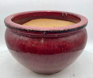 Asian Style Red Glazed Fish Bowl Planter Pot