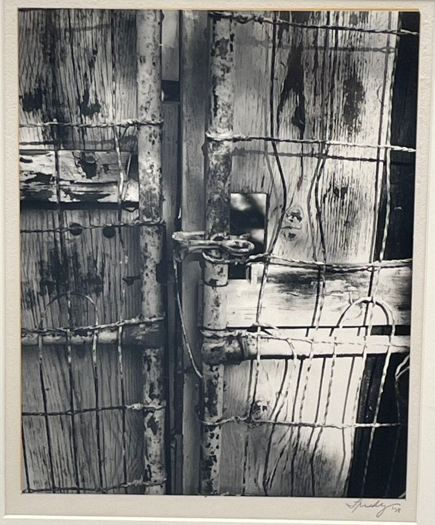 B&W Still Life Photo Gate & Fence by Trudy 1978