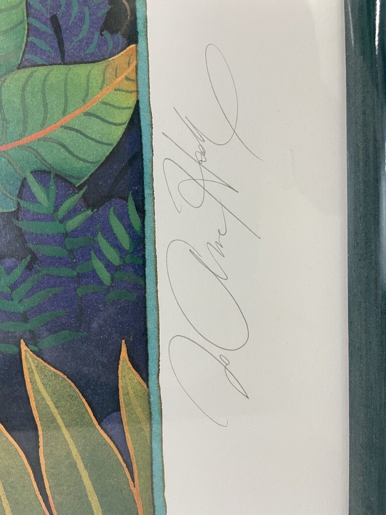 Jo Anne Hook Wompoo Pigeons & Rainbow Birds..."LTD Signed Serigraph #231/900 1991
