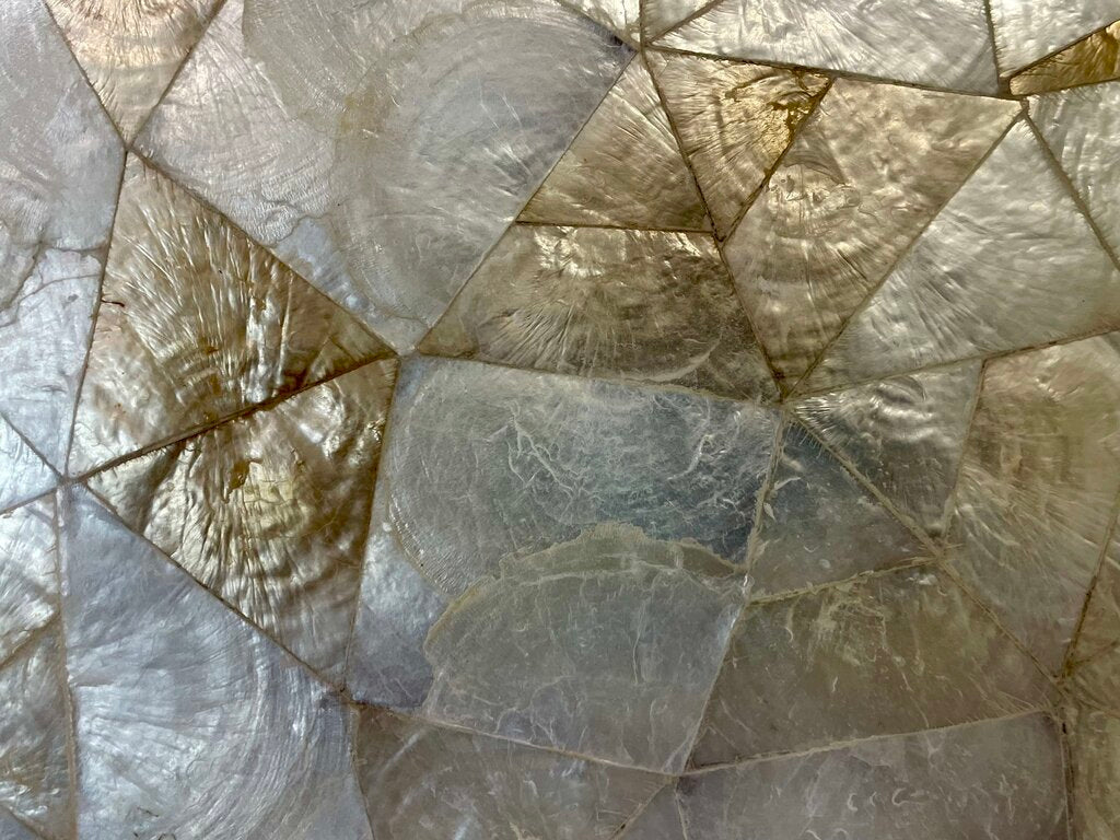 West Elm Capiz Shell Wall Art "Crystal Formation"