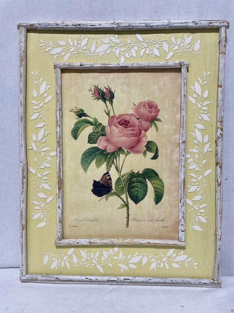 Decoupage Botanical P.J. Redoute' "Rosa Centifolia" Print On Board
