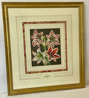 Louis Benoit Van Houtte Botanical Lithograph "Flores Des Serres" Amaryllis 1845