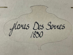 Louis Benoit Van Houtte Botanical Lithograph "Flores Des Serres" Souvenir De La Reine Print 1850