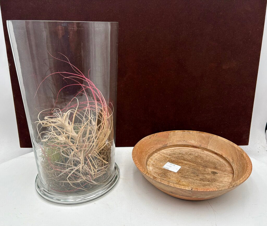 Glass Air Plant Terrarium on Wood Base (3Pcs)