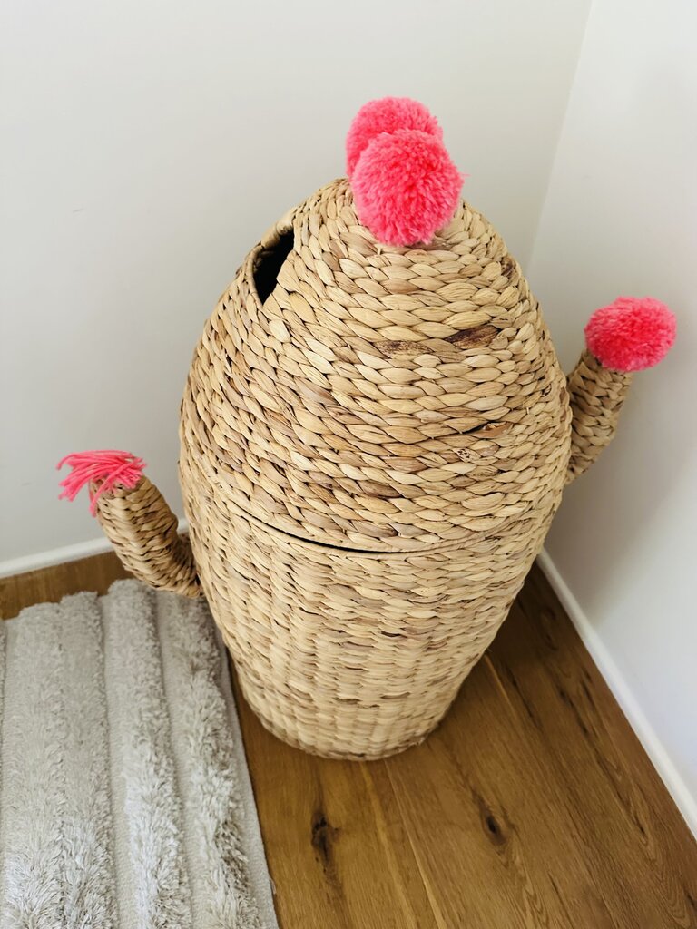Wicker Cactus Hamper