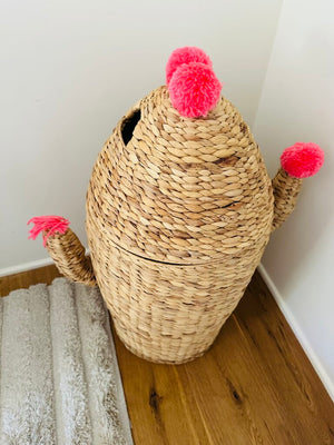 Wicker Cactus Hamper