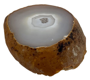 Cut & Polished Geode Agate Stone Paper Weight