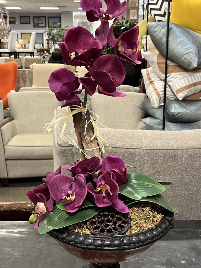 Purple Moth Orchid In Hand Painted Compote