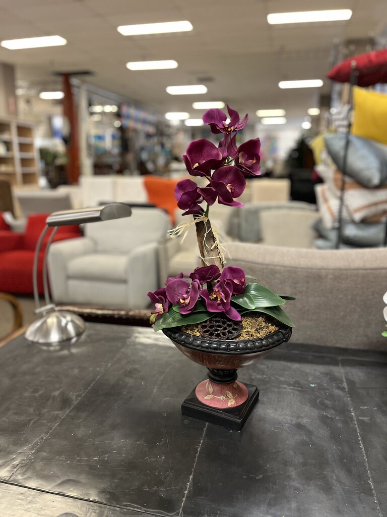 Purple Moth Orchid In Hand Painted Compote