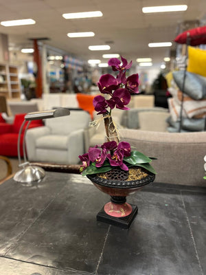 Purple Moth Orchid In Hand Painted Compote