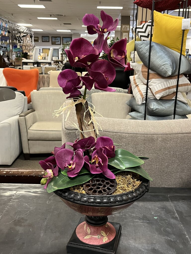 Purple Moth Orchid In Hand Painted Compote