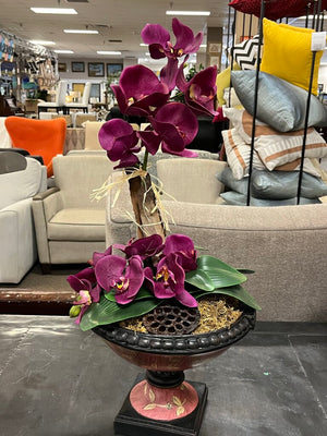 Purple Moth Orchid In Hand Painted Compote