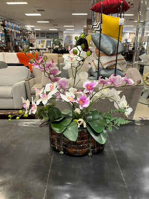 Pink & White Moth Orchids In Brown Metal Pot