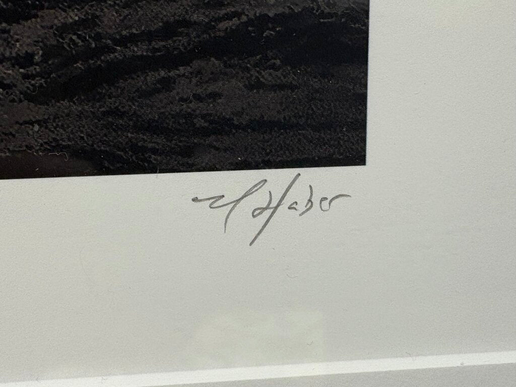 Michael Haber "Ship Lines" Over Sized B&W Photographic Print Signed Numbered Series 3/10