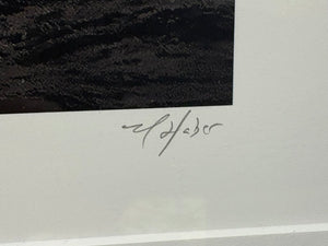 Michael Haber "Ship Lines" Over Sized B&W Photographic Print Signed Numbered Series 3/10