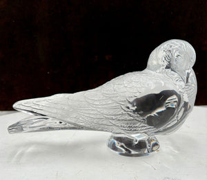 Lalique Lifesize Crystal Pigeon Set (2Pcs)