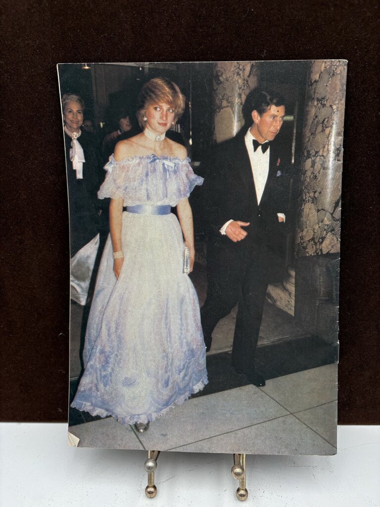 Princesses Diana: The Royal Mother To Be Rare Periodical 47pgs
