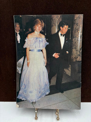 Princesses Diana: The Royal Mother To Be Rare Periodical 47pgs