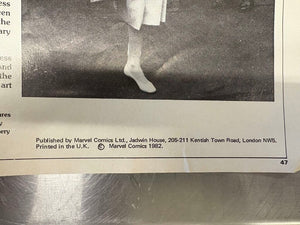 Princesses Diana: The Royal Mother To Be Rare Periodical 47pgs