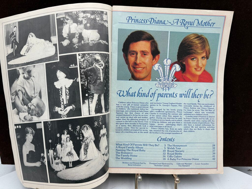 Princesses Diana: The Royal Mother To Be Rare Periodical 47pgs