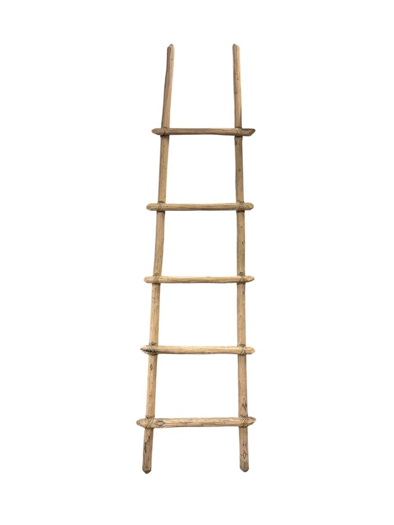 Leather Bound Kiva Ladder 8 Ft x 2 Ft