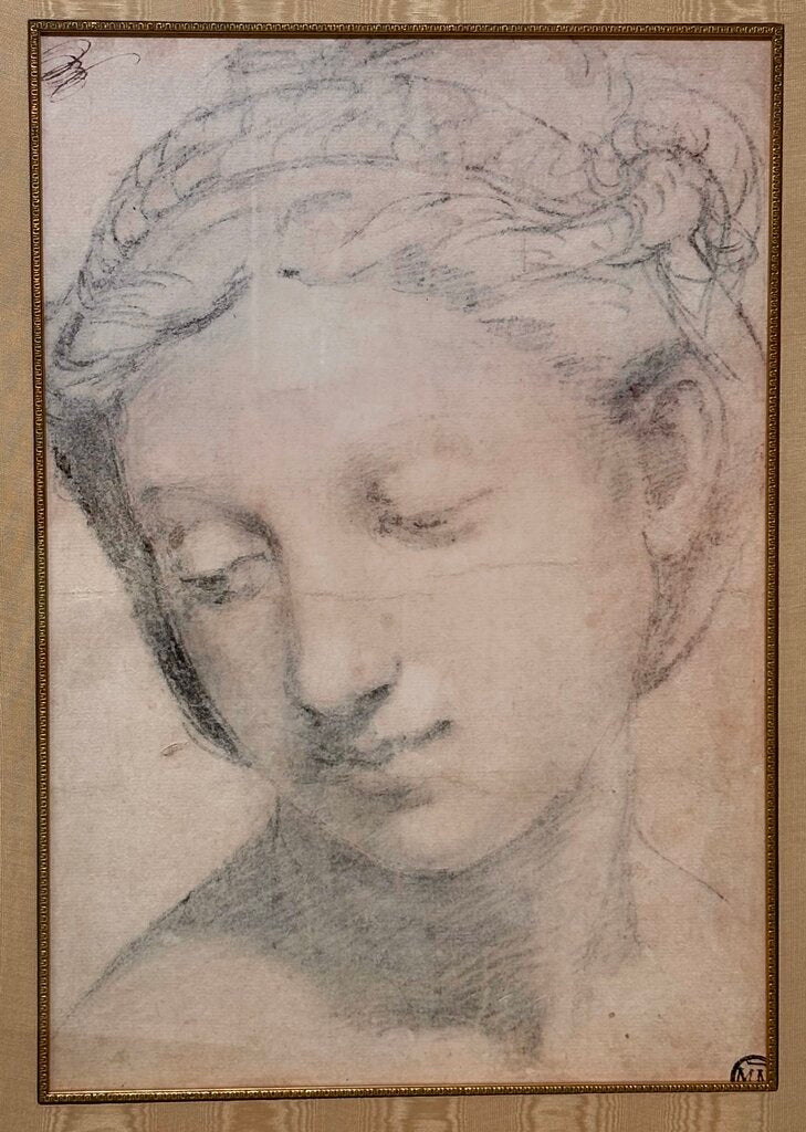 Raffaello Sanzio " Tete de la Charite" Giclee Reproduction