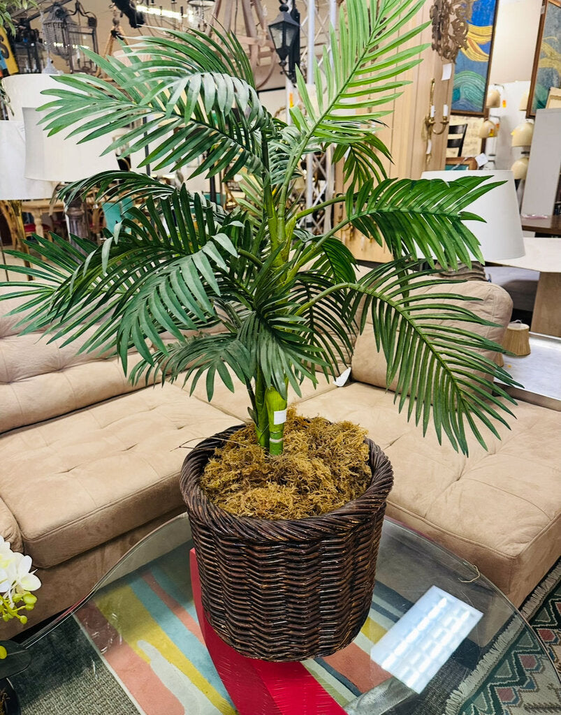 Artificial Palm Tree in Wicker Basket