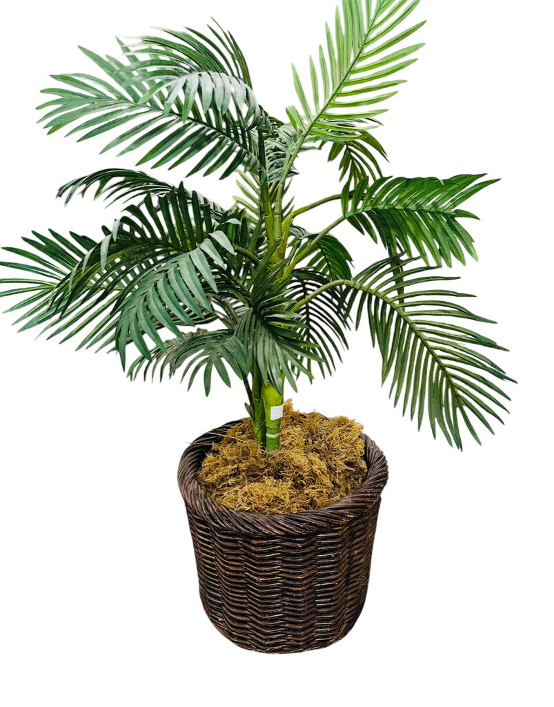 Artificial Palm Tree in Wicker Basket by Miss Daisy's Consignment & Auction House