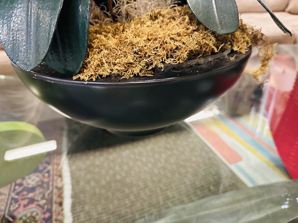 Silk Orchid In Porcelain Pot